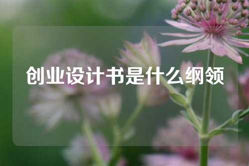 创业设计书是什么纲领