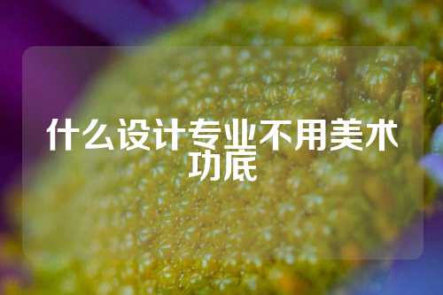 什么设计专业不用美术功底