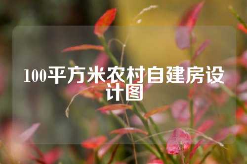 100平方米农村自建房设计图