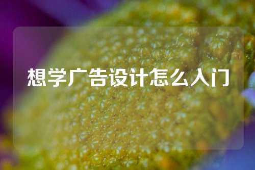 想学广告设计怎么入门