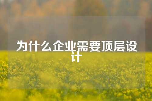 为什么企业需要顶层设计