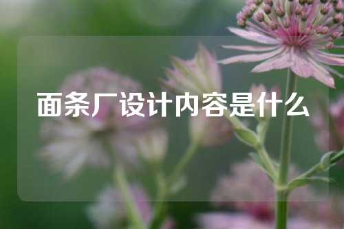 面条厂设计内容是什么