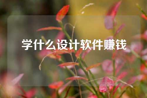学什么设计软件赚钱