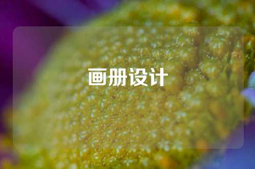 画册设计