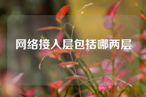 网络接入层包括哪两层