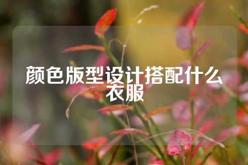 颜色版型设计搭配什么衣服