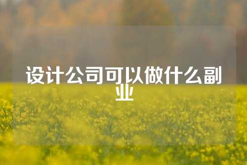 设计公司可以做什么副业