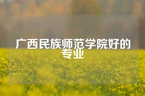 广西民族师范学院好的专业