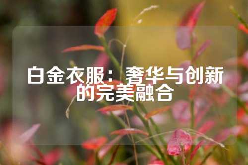 白金衣服：奢华与创新的完美融合
