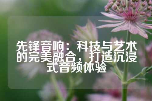 先锋音响：科技与艺术的完美融合，打造沉浸式音频体验
