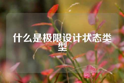 什么是极限设计状态类型