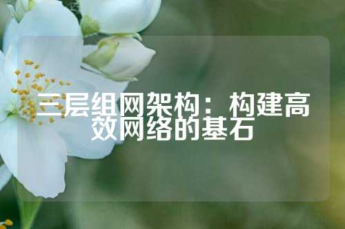 三层组网架构：构建高效网络的基石