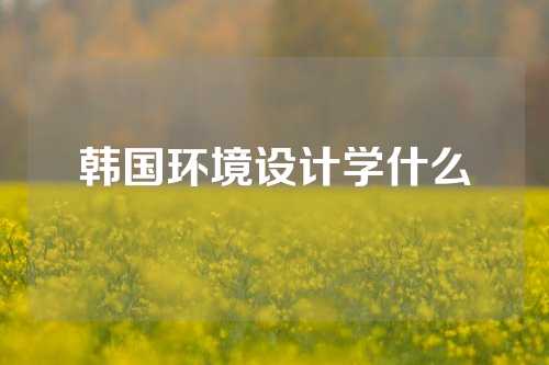 韩国环境设计学什么