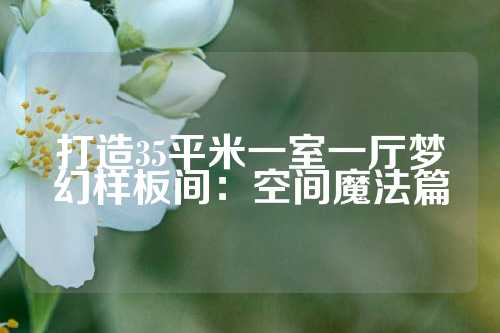 打造35平米一室一厅梦幻样板间：空间魔法篇