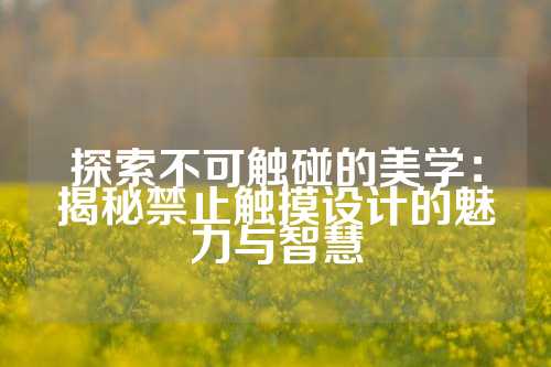 探索不可触碰的美学：揭秘禁止触摸设计的魅力与智慧