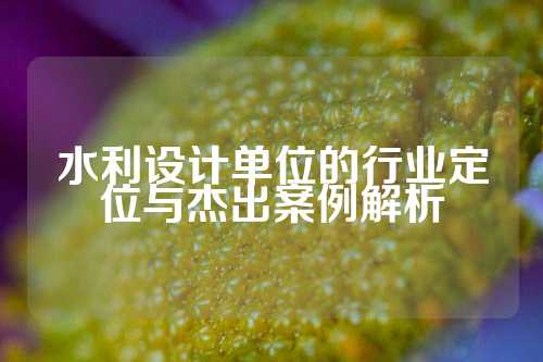 水利设计单位的行业定位与杰出案例解析