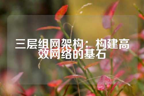 三层组网架构：构建高效网络的基石