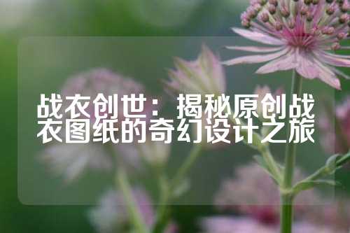 战衣创世:揭秘原创战衣图纸的奇幻设计之旅