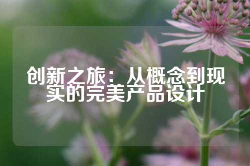 创新之旅：从概念到现实的完美产品设计