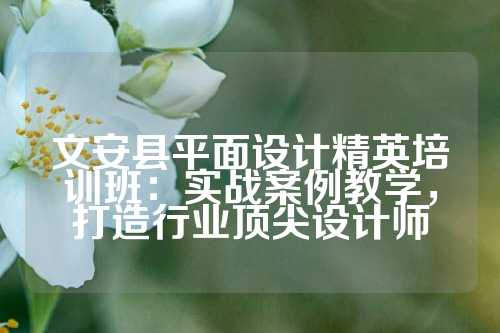 文安县平面设计精英培训班：实战案例教学，打造行业顶尖设计师