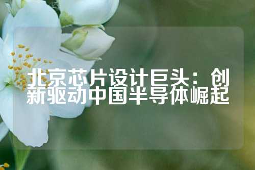 北京芯片设计巨头:创新驱动中国半导体崛起