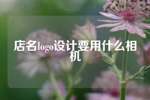 店名logo设计要用什么相机
