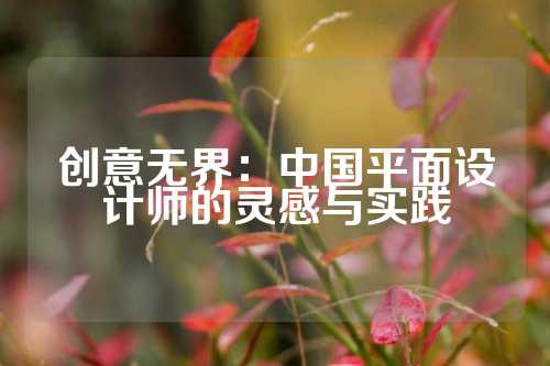 创意无界：中国平面设计师的灵感与实践