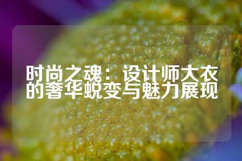 时尚之魂：设计师大衣的奢华蜕变与魅力展现