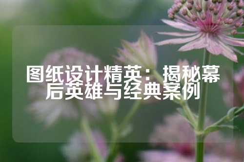 图纸设计精英：揭秘幕后英雄与经典案例