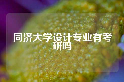 同济大学设计专业有考研吗