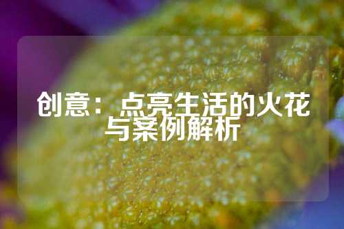 创意：点亮生活的火花与案例解析