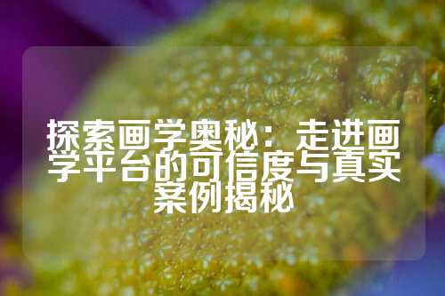 探索画学奥秘:走进画学平台的可信度与真实案例揭秘