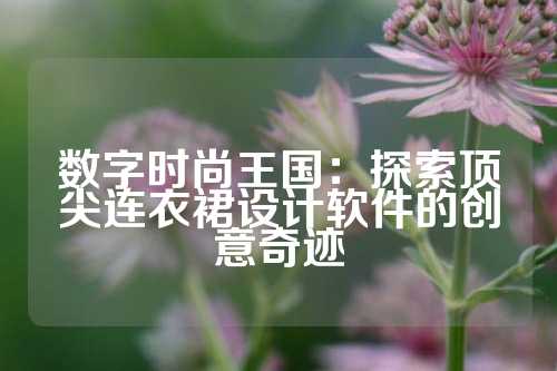 数字时尚王国：探索顶尖连衣裙设计软件的创意奇迹