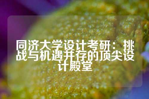 同济大学设计考研：挑战与机遇并存的顶尖设计殿堂