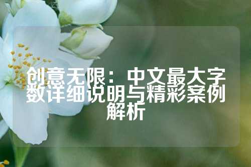 创意无限：中文最大字数详细说明与精彩案例解析