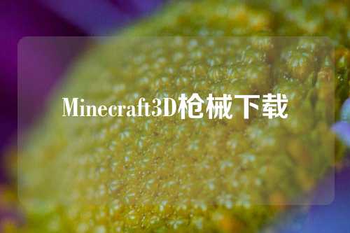 Minecraft3D枪械下载