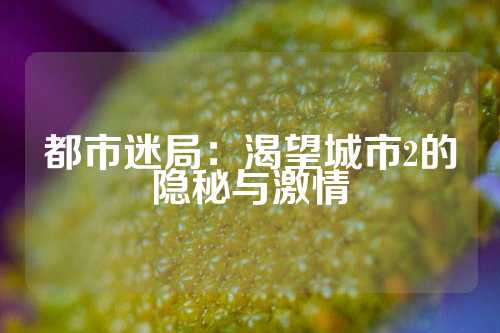 都市迷局：渴望城市2的隐秘与激情