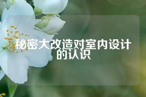 秘密大改造对室内设计的认识