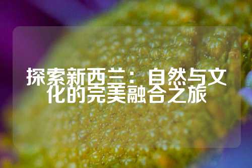 探索新西兰：自然与文化的完美融合之旅