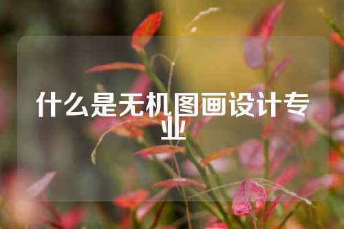 什么是无机图画设计专业