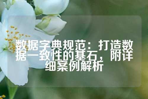数据字典规范：打造数据一致性的基石，附详细案例解析