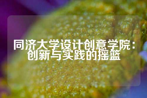 同济大学设计创意学院：创新与实践的摇篮