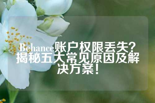 Behance账户权限丢失？揭秘五大常见原因及解决方案！