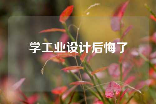 学工业设计后悔了