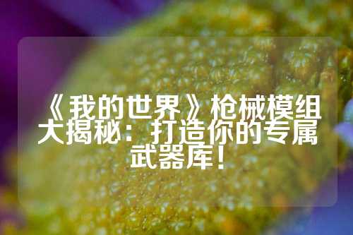 《我的世界》枪械模组大揭秘：打造你的专属武器库！