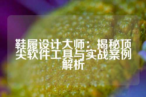 鞋履设计大师:揭秘顶尖软件工具与实战案例解析