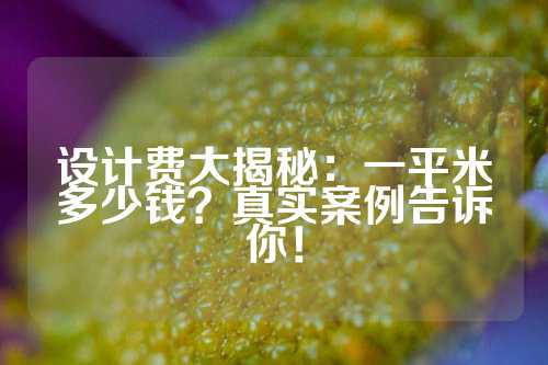 设计费大揭秘：一平米多少钱？真实案例告诉你！
