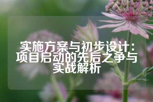 实施方案与初步设计：项目启动的先后之争与实战解析