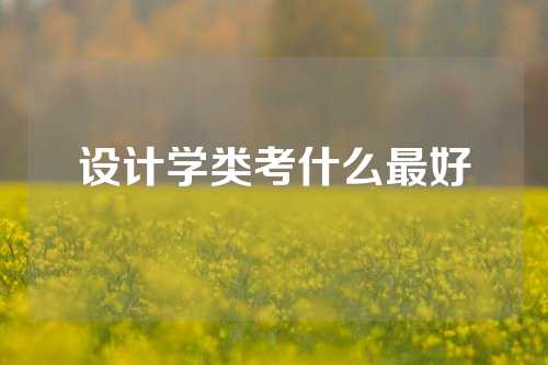 设计学类考什么最好