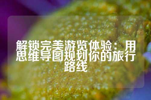 解锁完美游览体验：用思维导图规划你的旅行路线